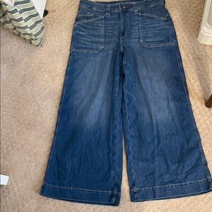 American Eagle Outfitters Wide Leg Blue Jeans